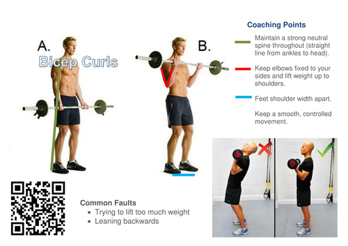 Circuit Training Individual Exercise Coaching Sheets