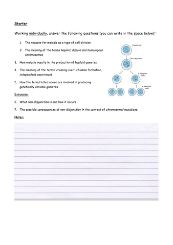 Meiosis Research and Long Response Question Task