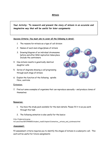 Mitosis Research Task