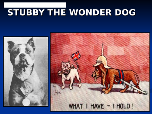 Stubby the Wonder Dog and Animals in World War One