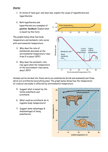 Hypothermia/Hyperthermia & Endotherms /Ectotherms