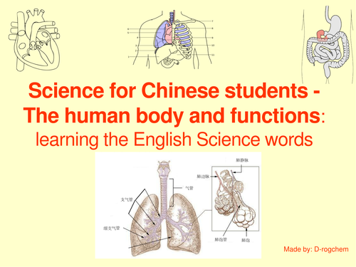 Human anatomy:  learn and use science words: for native Chinese speakers wanting to learn English