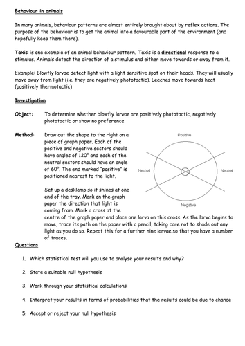 Observing phototaxis in blowfly larvae - differentiated practical schedules