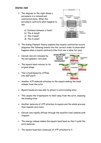 Decoding DNA by jm2450 - UK Teaching Resources - TES