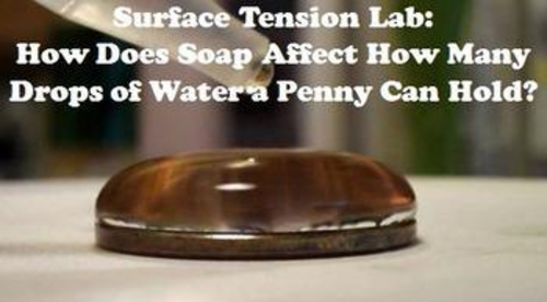 Scientific Method Lab Experiment/ Surface Tension Lab Experiment
