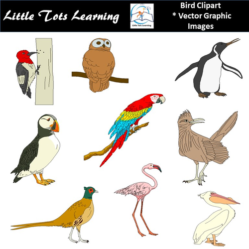 Bird Clip Art