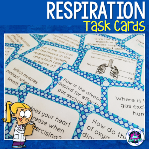 Respiration & Gas Exchange Task Cards