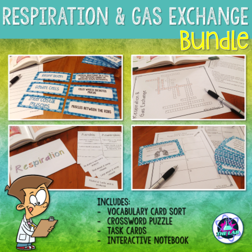 Respiration & Gas Exchange Bundle