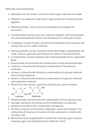 AQA AS Biological Molecules Quiz