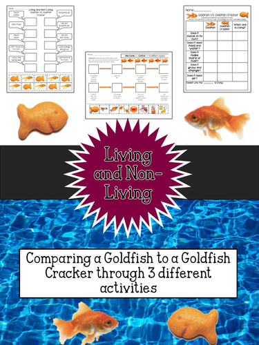 Living and Non-Living: Goldfish VS. Goldfish Cracker