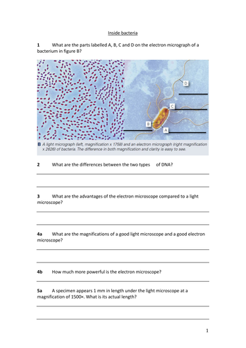 B2.2 Inside bacteria Year 11 Edexcel GCSE Additional Science - Biology