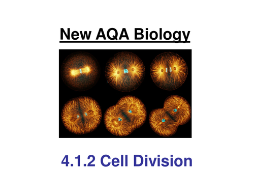 New GCSE AQA Biology 4.1.2 Cell division power point