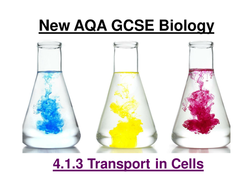 New AQA GCSE Biology 4.1.3 Transport In cells (Combined) - 2018 exam