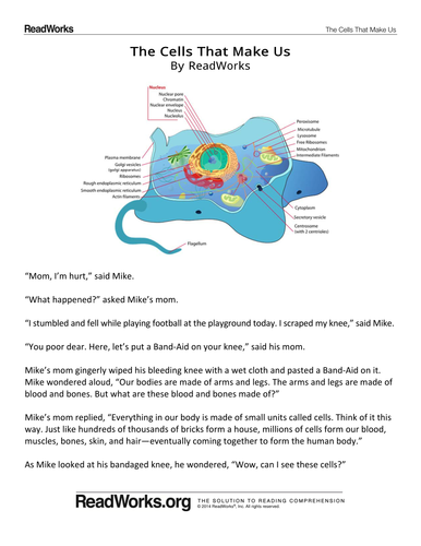 Pokemon Science - Unicellular Organisms