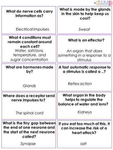 Nerves and Homeostasis Question and Answer Cards Plus Revision Cards (B1)