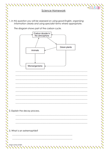 Carbon Cycle and Food Webs/Chains Homework Y8