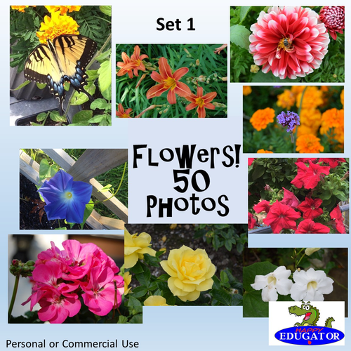 Photos Bundle - 50 Flowers Photographs Set 1 - Personal or Commercial Use