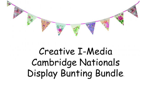 I-Media Cambridge Nationals Level 1/2 Display Bunting Bundle