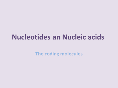 AS level resource about nucleotides