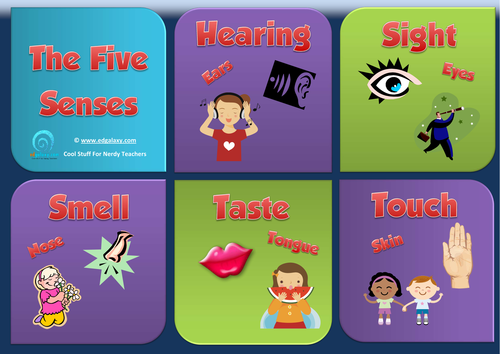 Five Senses Posters