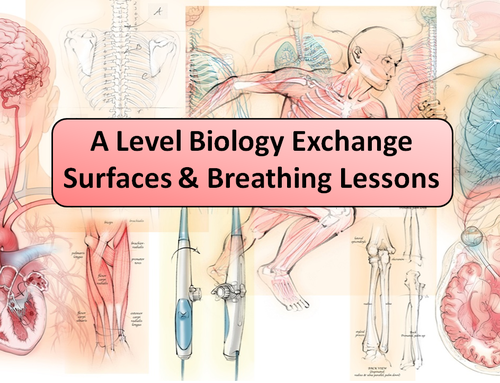 OCR A Level Exchange Surfaces & Breathing Lessons