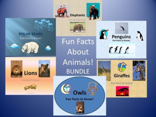 Fun Facts About Owls, Penguins, Polar Bears, Elephants, Lions, Giraffes - BUNDLE