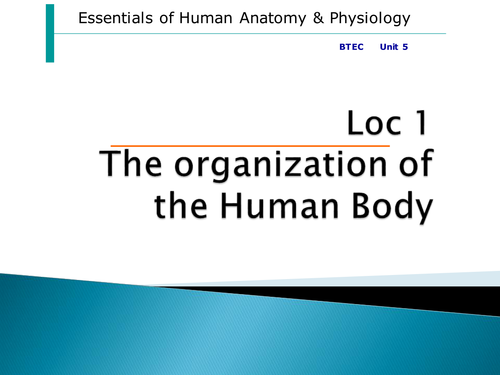 BTEC HSC unit 5 2010 level 3 Anatomy unit  (could be used for 2016 spec unit 3 )