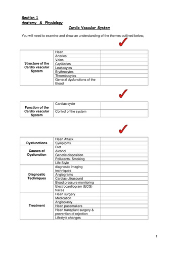 Level 3 OCR  A" designed anatomy workbook  Cardiovascular system