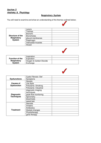 workbook for anatomy and physiology respiratory system