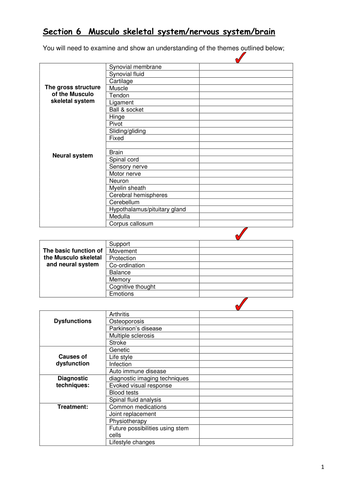 workbook anatomy and physiology musculoskeletal system