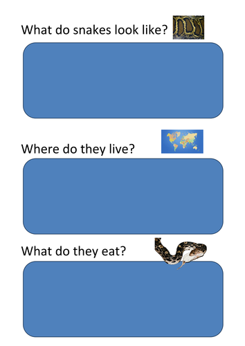 Reading comprehension activity - snakes Year 1