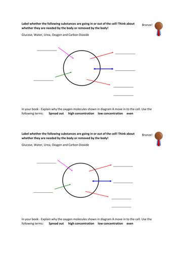 Required Practical AQA 2016 Osmosis/Diffusion/Active Transport