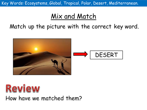 (New AQA) Lesson 4 and 5: Location of Global Ecosystems