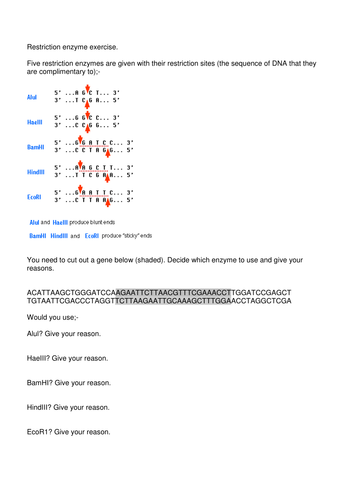 Restriction enzymes - how they work and choosing the right one