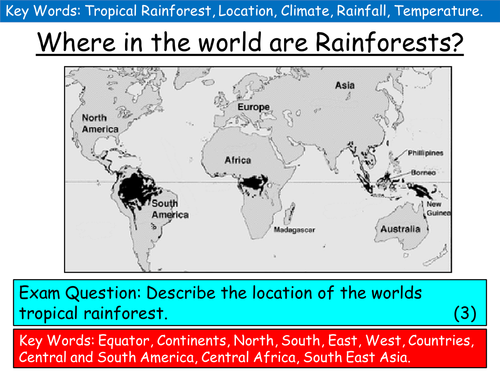 (New AQA) Lesson 6: Characteristics of the Rainforest (Climate)