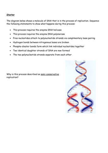 Semi-conservative replication - the process and evidence