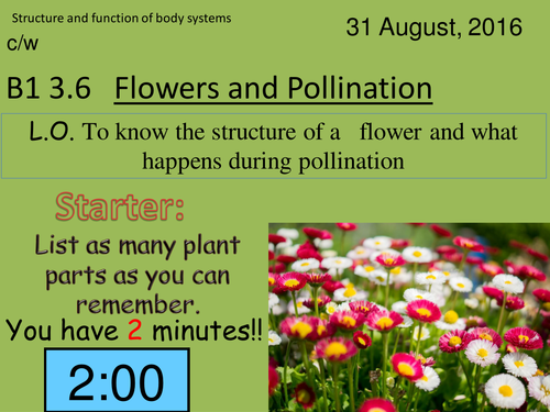 Activate 1:  B1:  3.6  Flowers and Pollination