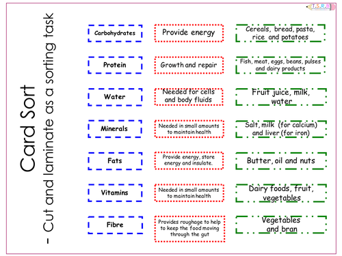 Diet Worksheet and Card Sort