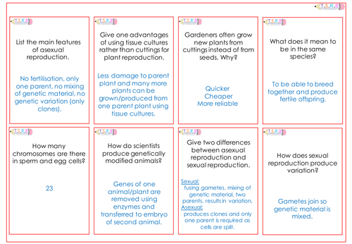 Genetics Quiz Cards B1