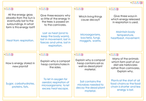 Biomass and Decay Quiz Cards B1