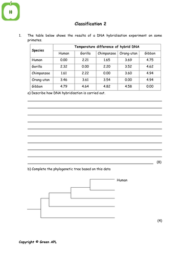 Classification