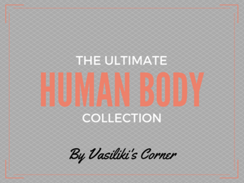 Human Body