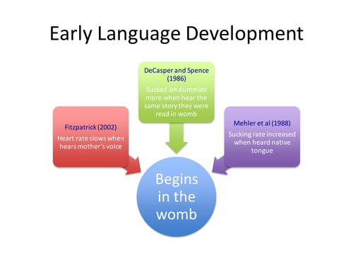 A-Level English Language (Language Acquisition) PPT