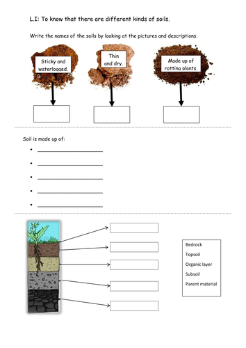 Soils worksheet