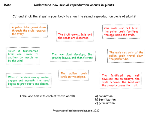 identification worksheet animal of Reproduction Sexual Lesson Plants Process in Plan KS2