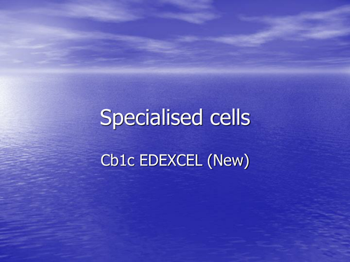 Specialised cells for CB1 EDEXCEL New