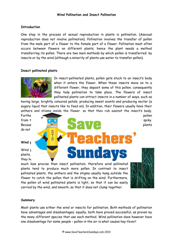 Wind Pollination and Insect Pollination KS2 Lesson Plan and Worksheet