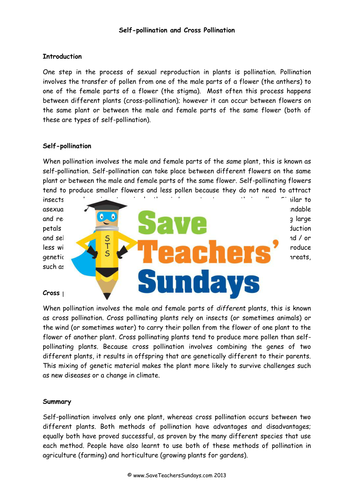 Self-Pollination and Cross Pollination KS2 Lesson Plan, Text and Worksheets