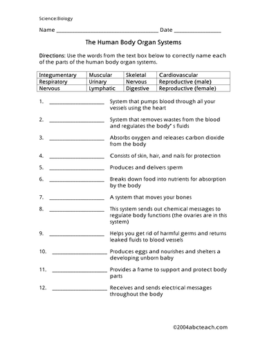 Worksheet: Human Systems (upper elem/middle)