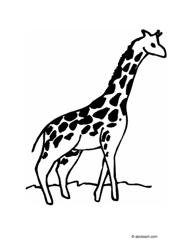 Coloring Page: Giraffe